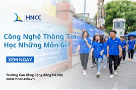 [Góc Chia Sẻ] Ngành Công Nghệ Thông Tin Học Những Môn Gì?