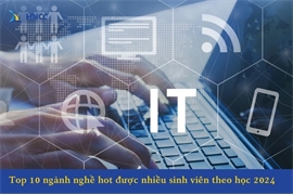 Top 10 ngành nghề hot được nhiều sinh viên theo học 2024